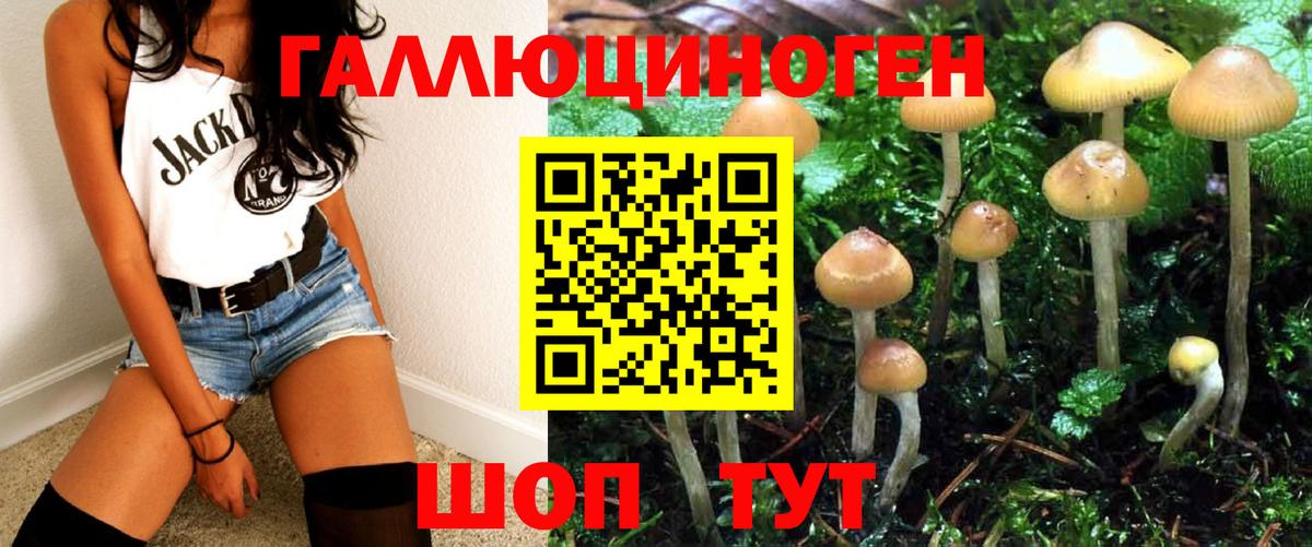 Орёл  Галлюциногенные грибы MAGIC MUSHROOMS  Вход с VPN 